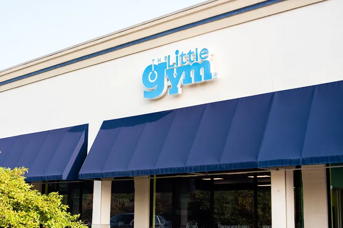 The Little Gym of Carmel Picture 5