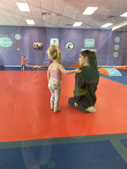The Little Gym of Carmel Picture 6