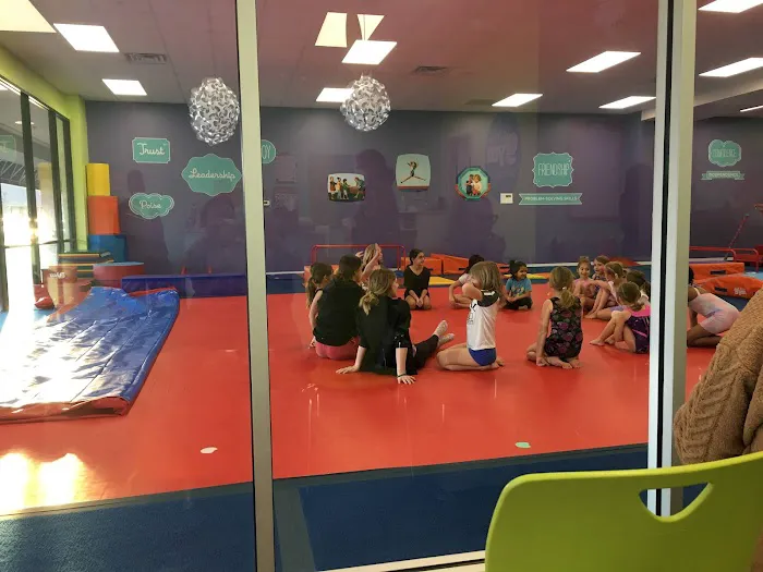 The Little Gym of Carmel Picture 8
