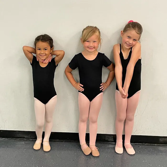 The Dance Academy Picture 2