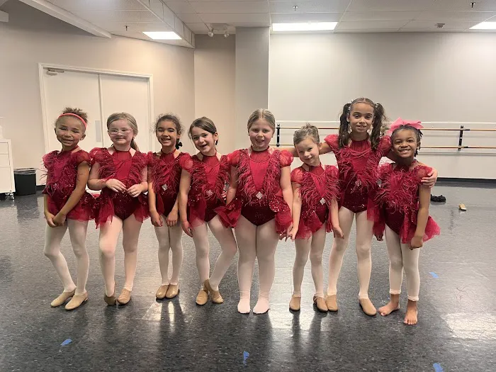 The Dance Academy Picture 3
