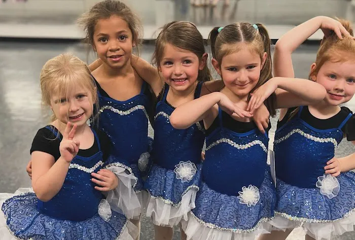 The Dance Academy Picture 1