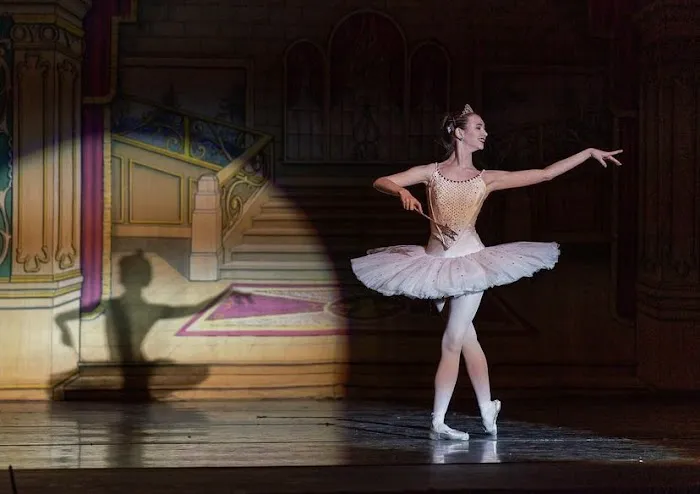 Angie Hahn's Academy of Dance Picture 10