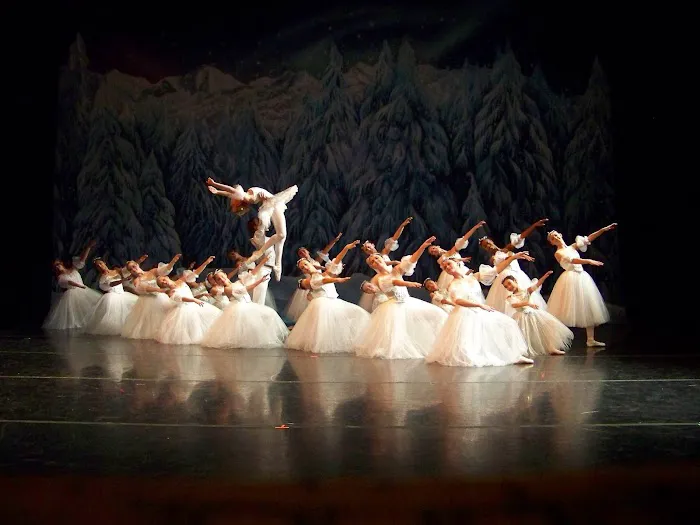 Greater Lansing Academy of Dance Picture 1