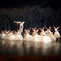 Greater Lansing Academy of Dance ico