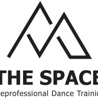 The Space Dance Co. ico