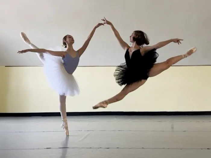 Tye Chua Dance & Kalamazoo Ballet Picture 1