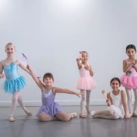 Ballet Kalamazoo ico