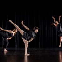 Wellspring/Cori Terry & Dancers ico