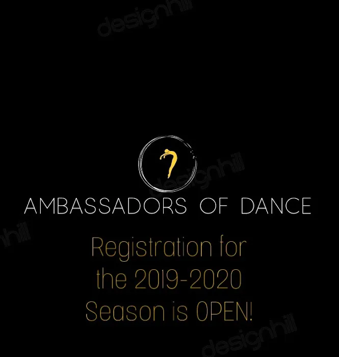 Ambassadors of Dance Picture 3