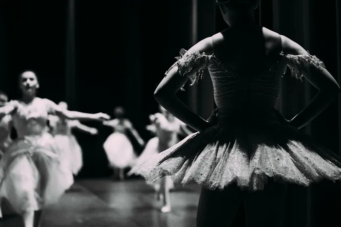 Fenton Ballet Theatre Picture 1
