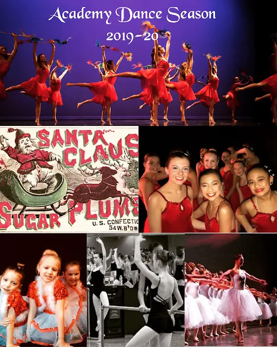 Loree's Academy of Dance Picture 5