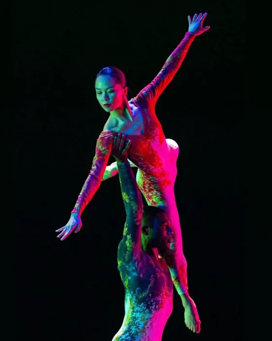 Dance Kaleidoscope Picture 5
