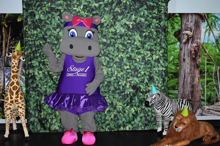 Stage 1 Dance Academy Picture 3