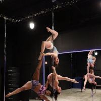 D.I.D Fit Studio - Drop. Invert. Dazzle. ico
