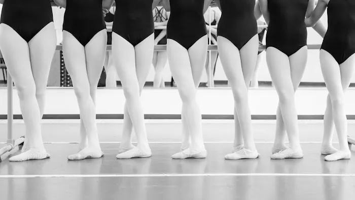 The DANCE COALITION Picture 1