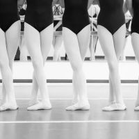 The DANCE COALITION ico