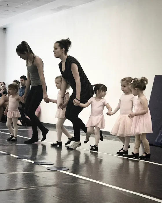 The DANCE COALITION Picture 2
