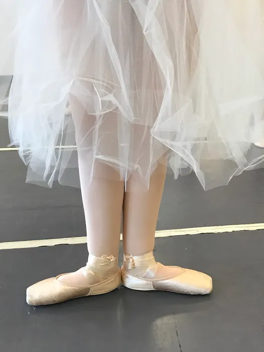 The DANCE COALITION Picture 8