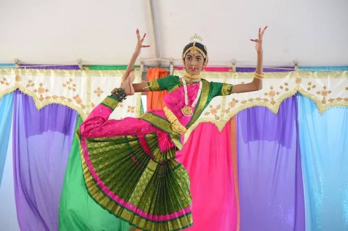 Cultural Centre of India Picture 3
