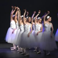 Metropolitan Youth Ballet of Indiana (formerly Ballet Theatre of Carmel Academy) ico