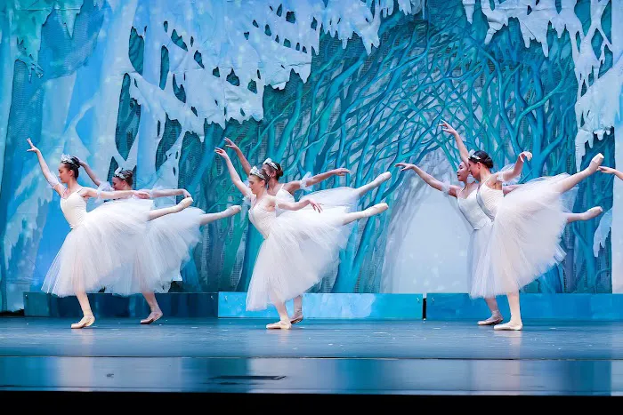 Metropolitan Youth Ballet of Indiana (formerly Ballet Theatre of Carmel Academy) Picture 3