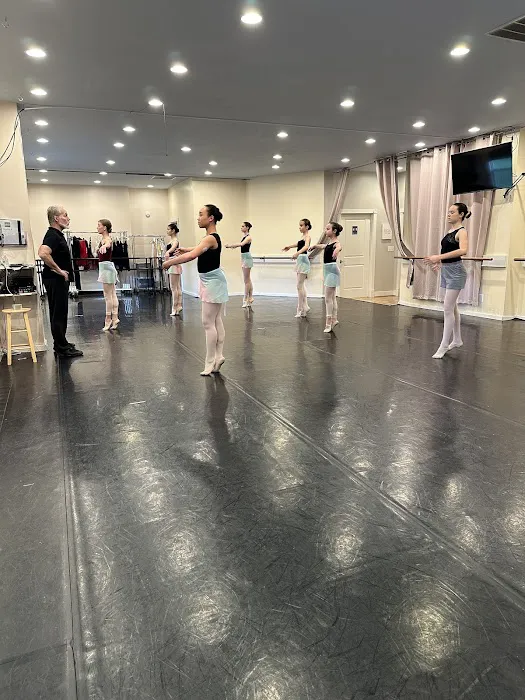 Metropolitan Youth Ballet of Indiana (formerly Ballet Theatre of Carmel Academy) Picture 6