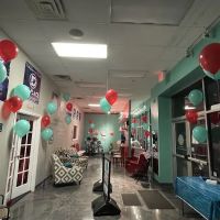 Serenity Dance Connections ico