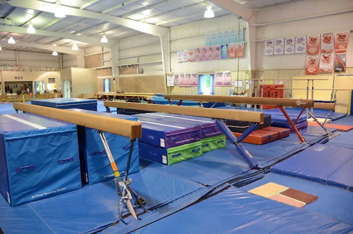 Dance Moves And Gymnastics Picture 2