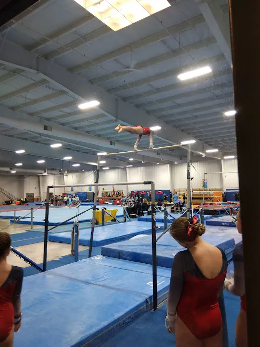 Branch Gymnastics / KidsSports USA Picture 3