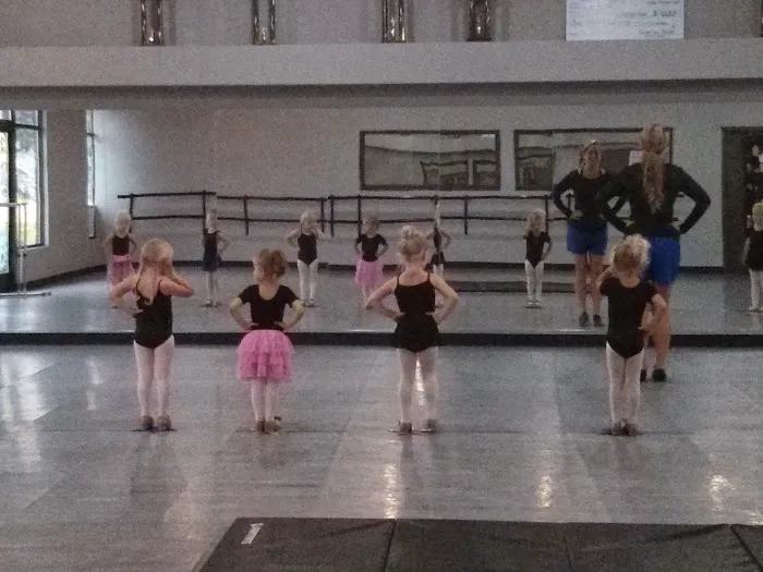 Dance Zone Picture 3