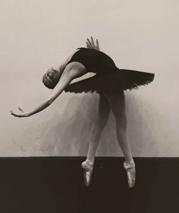 Dance Academy of Bloomfield Hills Picture 1