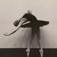 Dance Academy of Bloomfield Hills ico