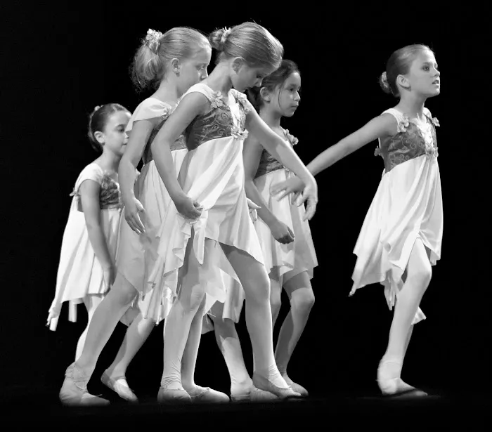 Dance Academy of Bloomfield Hills Picture 2