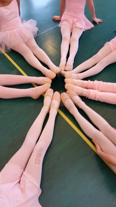 Dance Academy of Bloomfield Hills Picture 5