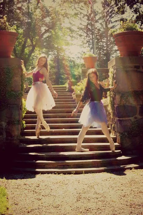 Dance Academy of Bloomfield Hills Picture 10