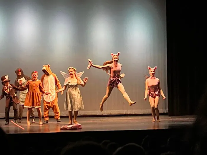 Heather's Dance Co, LLC Picture 2