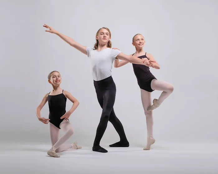 Michigan Ballet Academy Picture 2