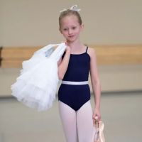 Michigan Ballet Academy ico