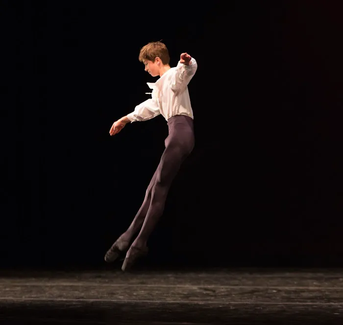 Michigan Ballet Academy Picture 3