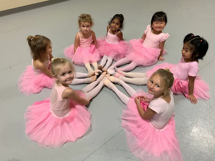 Michigan Ballet Academy Picture 6