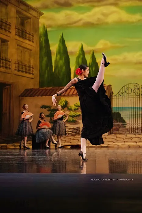 Michigan Ballet Academy Picture 9