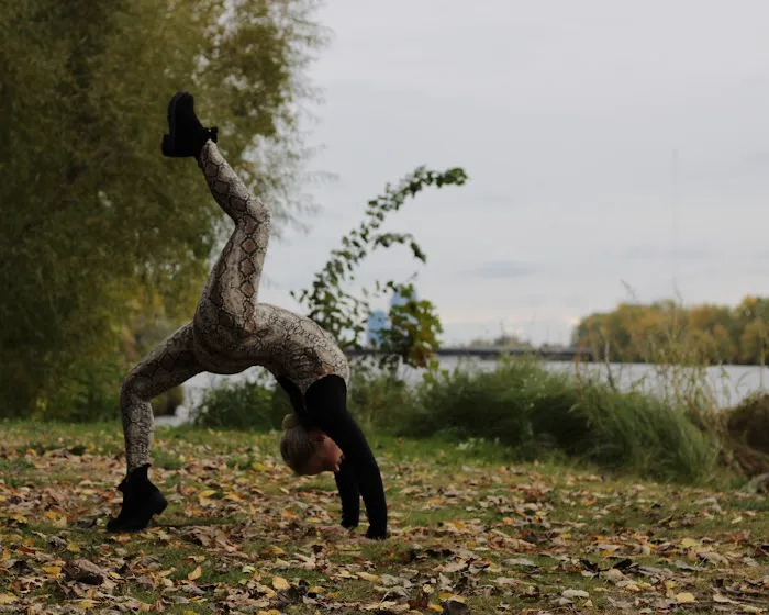 Trillium Ballet LLC Picture 1