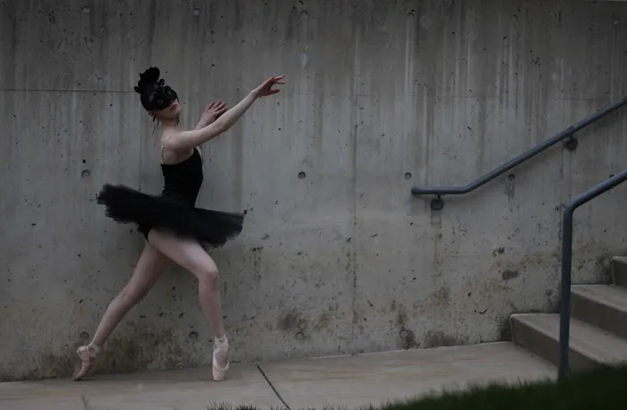 Trillium Ballet LLC Picture 4