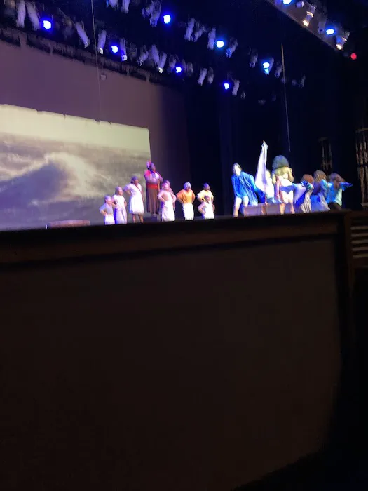 Over the Top Academy of Dance Picture 4