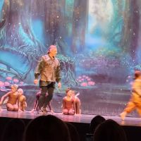 West Michigan Youth Ballet ico