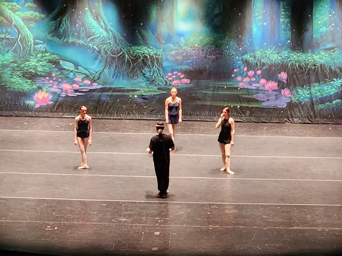 West Michigan Youth Ballet Picture 3