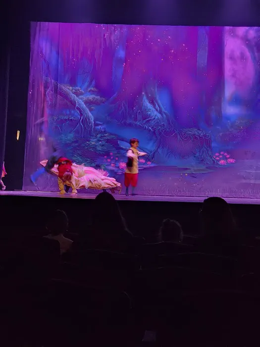 West Michigan Youth Ballet Picture 7