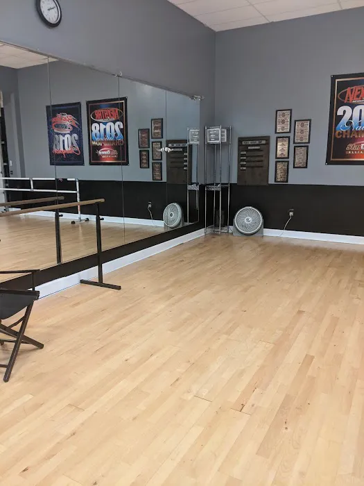 Premier Academy of the Performing Arts Picture 3