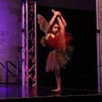 Premier Academy of the Performing Arts